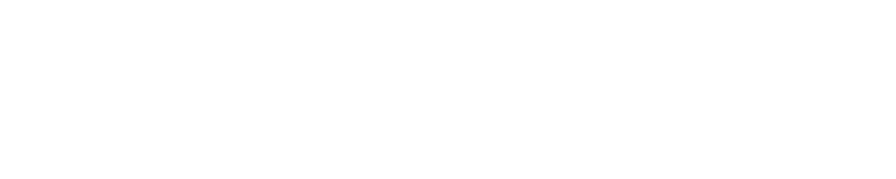Campus Virtual de Academia - CASI